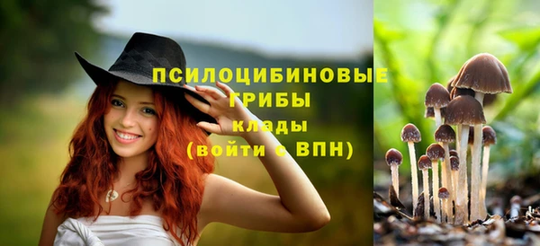 дживик Володарск
