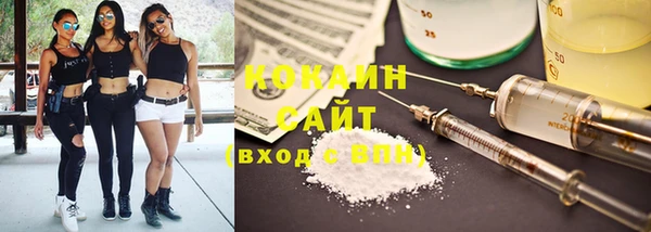 дживик Володарск