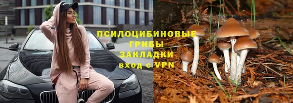 крисы Волоколамск